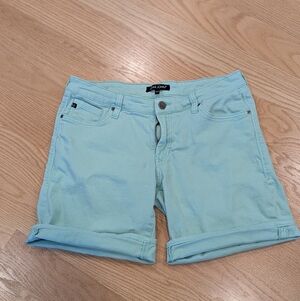 Women's Mint Green Jean Shorts